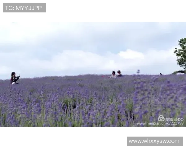 西班牙足球球星与爱侣共谱浪漫篇章打造甜蜜人生