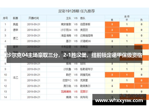 沙尔克04主场豪取三分，2-1胜汉堡，提前锁定德甲保级资格